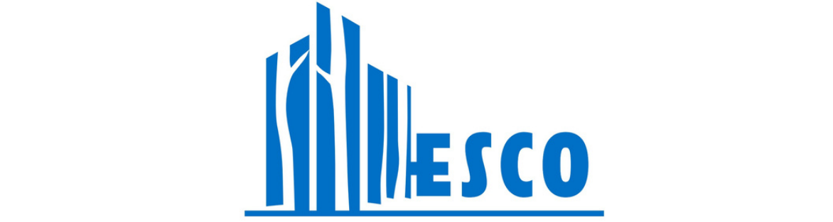 Mflesco